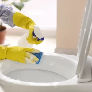 Limpiadores para el baño
